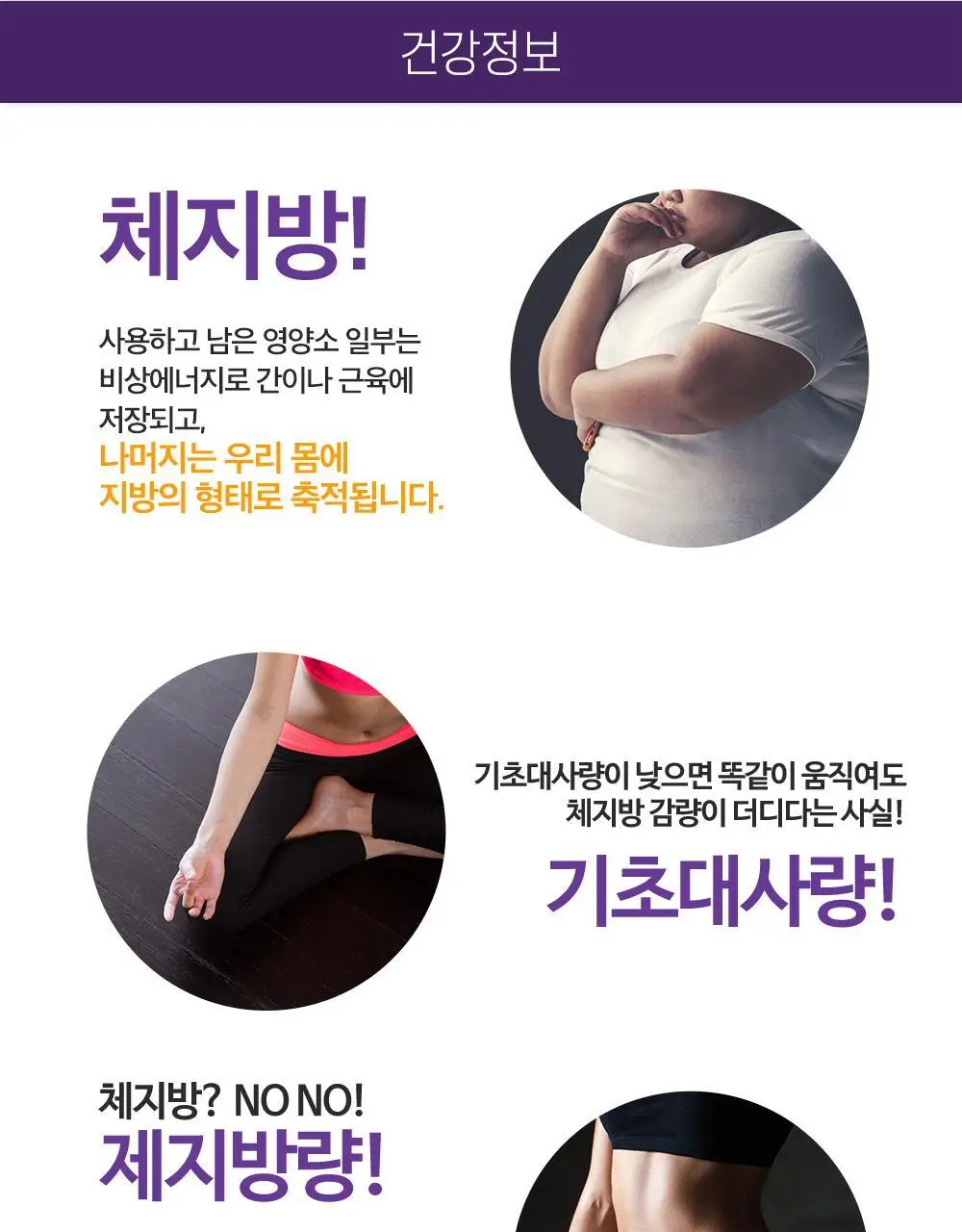 [체지방 감소/7중기능성] 그린몬스터 다이어트 콜레우스포스콜리 800mg*28정 상세페이지 22